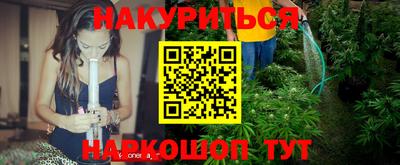 индика Бердск