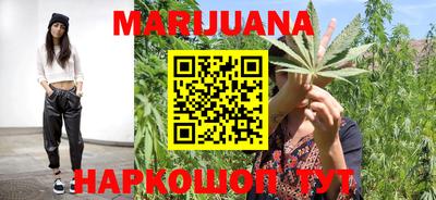 индика Бердск