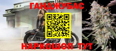 индика Бердск