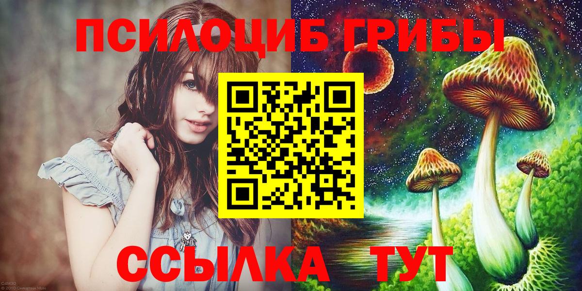 Псилоцибиновые грибы MAGIC MUSHROOMS  закладка  Вход с VPN  Горно-Алтайск  Галлюциногенные грибы Psilocybine cubensis 